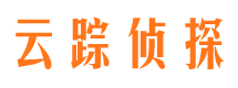 陆河侦探公司